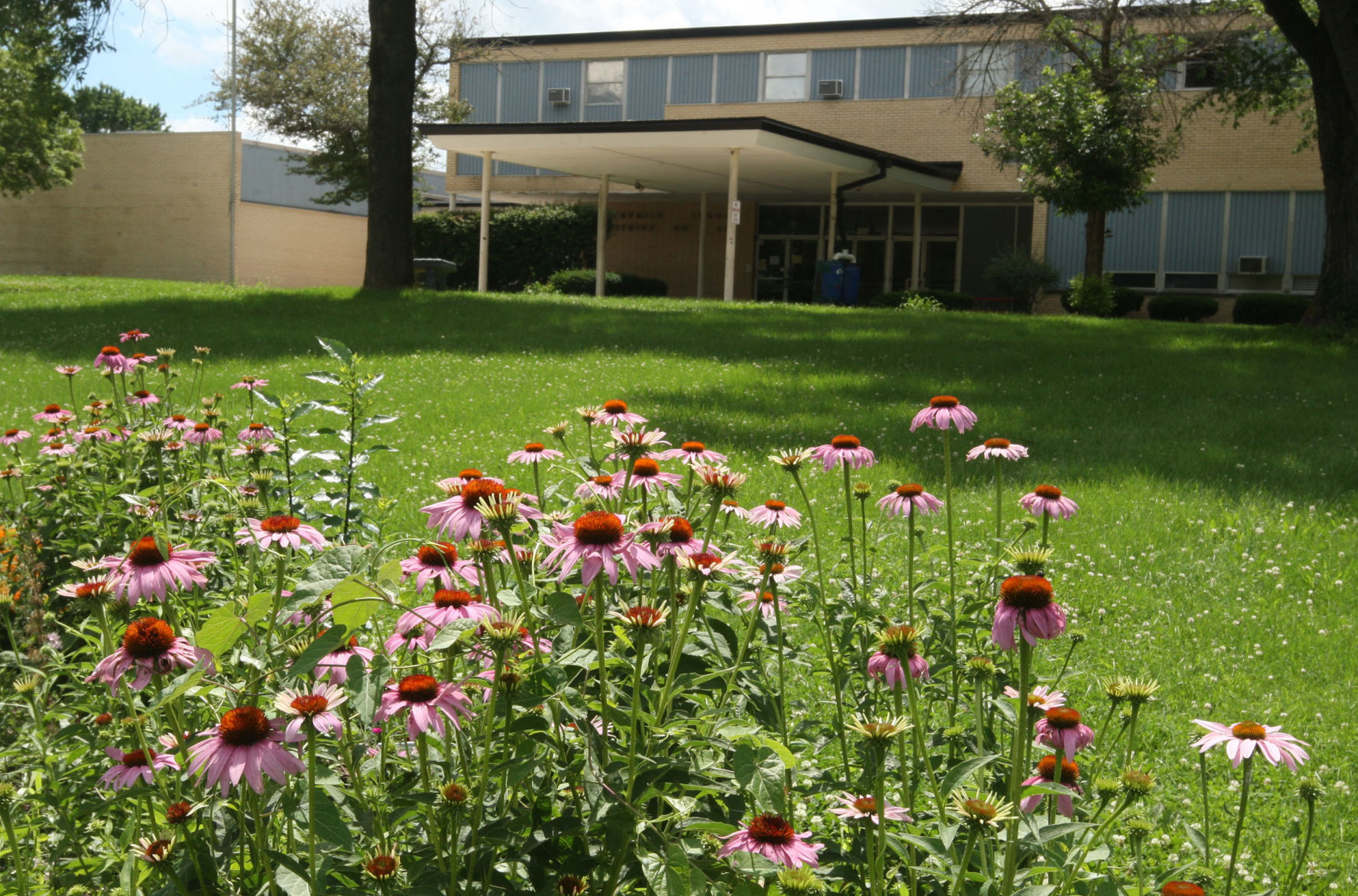 Enterprise School butterfly garden 6.29.18
